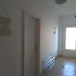Appartement Davor