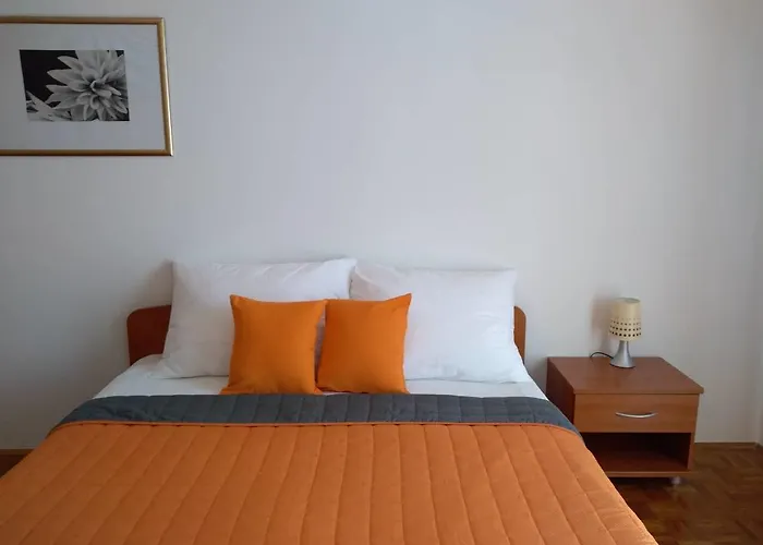 Davor Biograd Na Moru